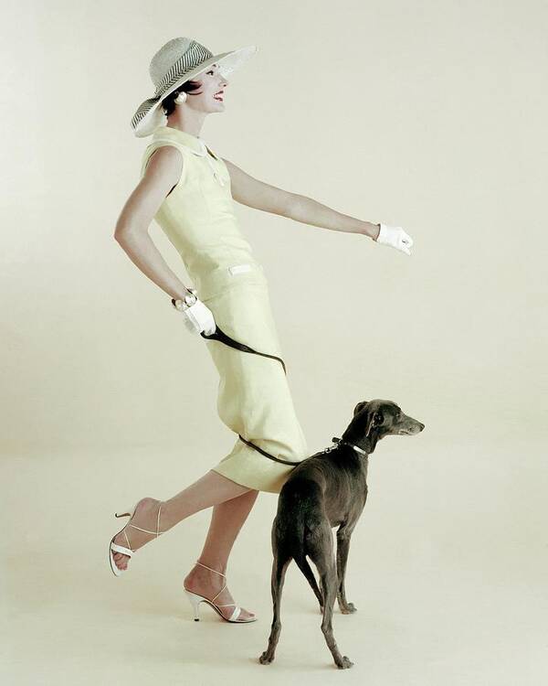 Accessories Poster featuring the photograph A Model Walking A Dog by Richard Rutledge