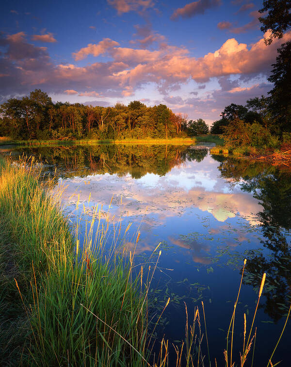 Sunset Poster featuring the photograph After the Storm by Ray Mathis