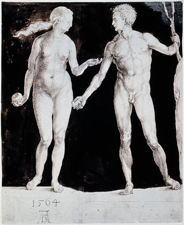 1504 Poster featuring the drawing Albrecht Durer Adam & Eve by Granger