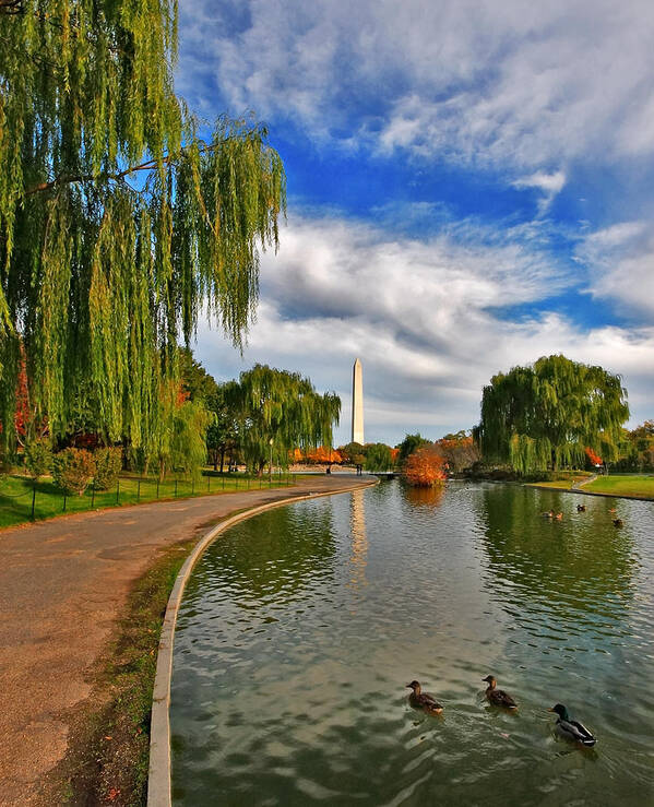 Washington Monument Poster featuring the photograph Autumn at the Declaration of Independence Memorial by SCB Captures