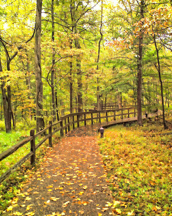 Autumn Boardwalk At Mammoth Cave National Park 2 Poster featuring the photograph Autumn Boardwalk at Mammoth Cave National Park 2 by Greg Jackson