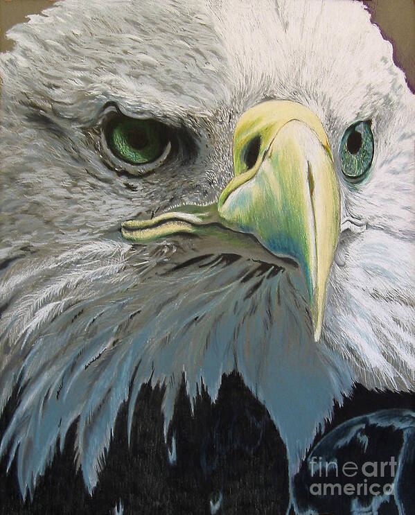 Eagle Poster featuring the drawing SOLD Bald Eagle by Nancy Parsons