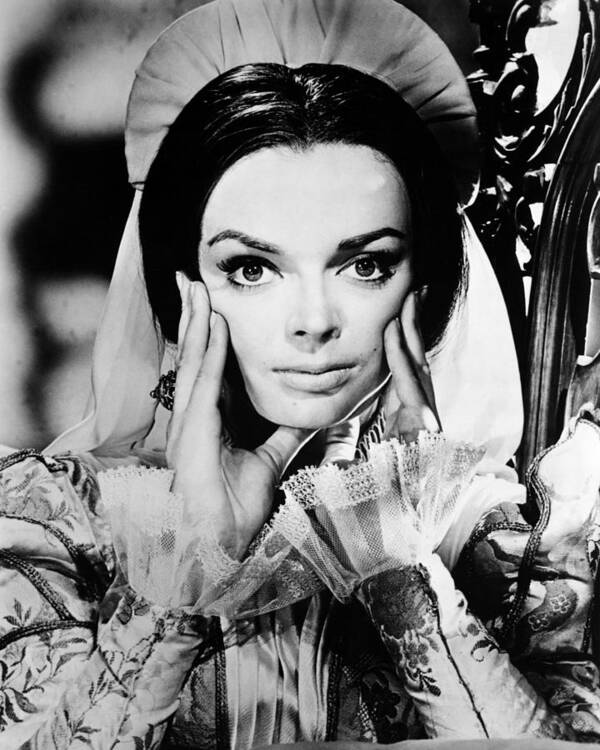 Barbara Steele Poster featuring the photograph Barbara Steele by Silver Screen