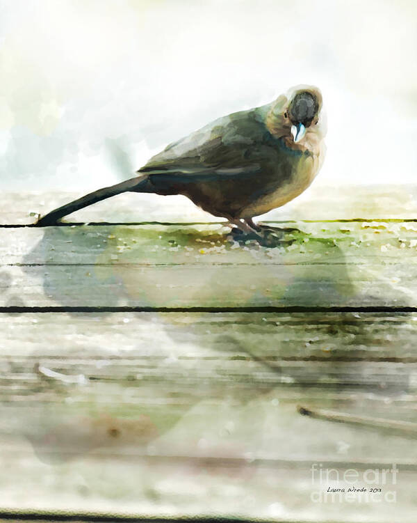 Bird Images Poster featuring the painting Bird on the Deck by Artist and Photographer Laura Wrede