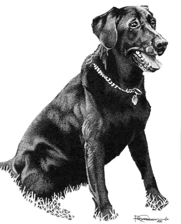 Black Lab Poster featuring the drawing Black Lab by Rob Christensen