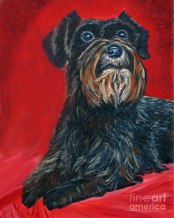 Art Poster featuring the painting Black Schnauzer Pet Portrait Prints by Shelia Kempf