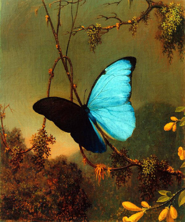 Martin Johnson Heade Poster featuring the painting Blue Morpho Butterfly by Martin Johnson Heade