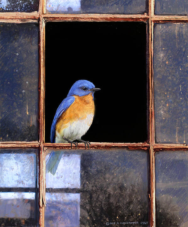 Bluebird Poster featuring the painting Bluebird Window by R christopher Vest