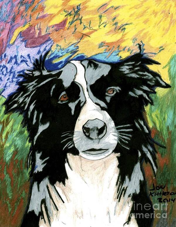 Great Herding Dog Poster featuring the drawing Border Collie by Jon Kittleson