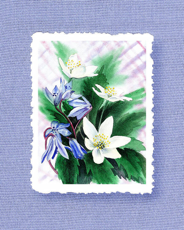Jasmine Poster featuring the painting Botanical Impressionism Jasmine Flowers Bouquet by Irina Sztukowski