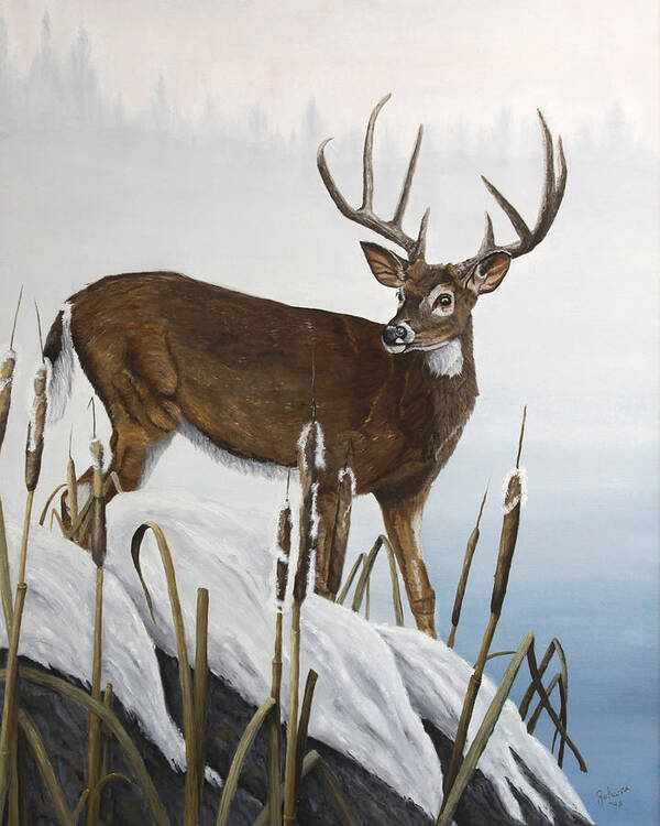 North American Wildlife Poster featuring the painting Buck At Waters Edge by Johanna Lerwick