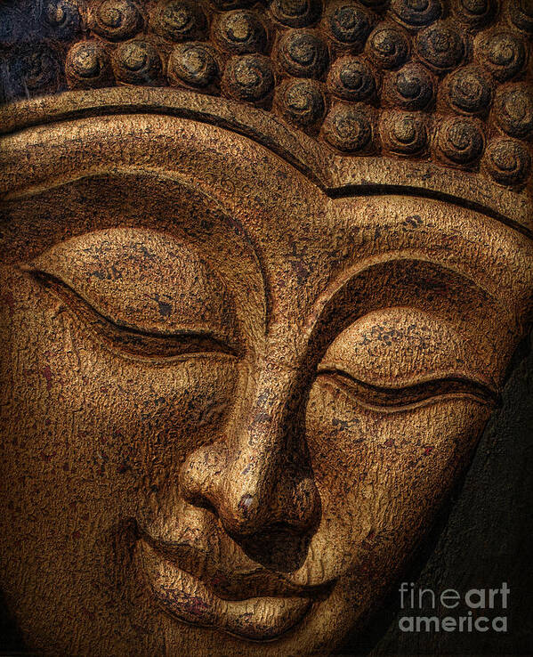 Buddha Poster featuring the photograph Buddha by Elena Nosyreva