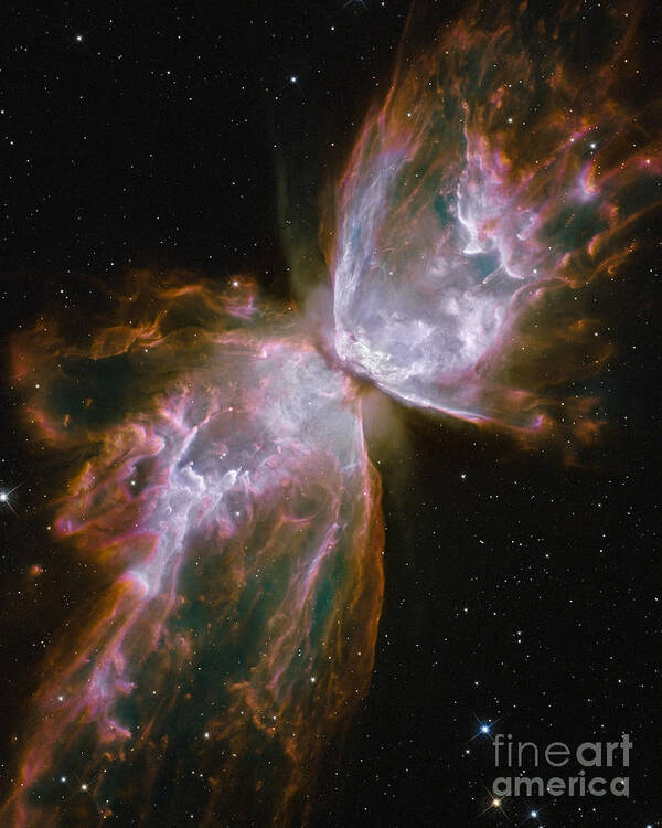 Butterfly Poster featuring the photograph Butterfly Nebula by Rod Jones