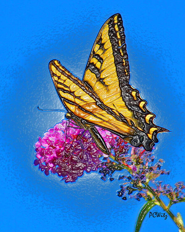 Butterfly Poster featuring the photograph Butterfly by Patrick Witz