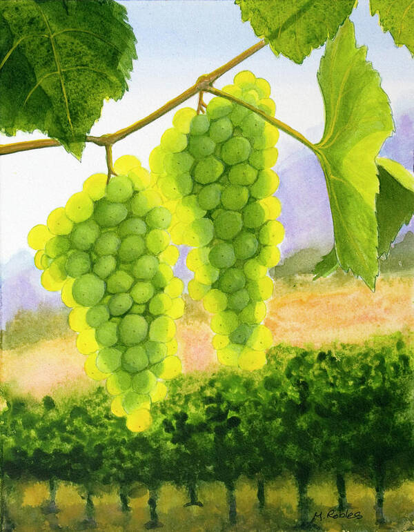 Chardonnay Poster featuring the painting Chardonnay Grapes by Mike Robles