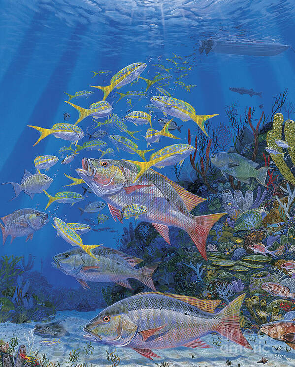 Mutton Snapper Poster featuring the painting Chum line Re0013 by Carey Chen