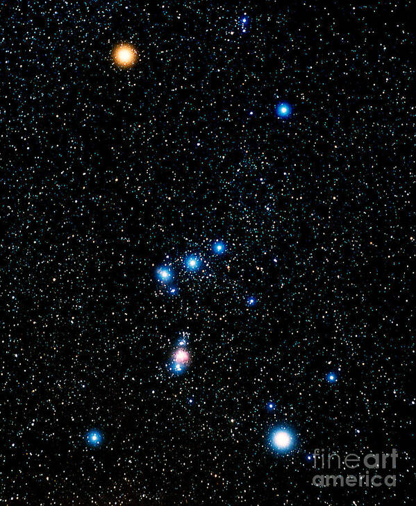 Blue Supergiant Poster featuring the photograph Constellation Of Orion by John Chumack