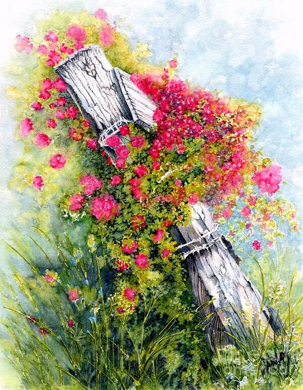Roses Poster featuring the painting Country Roses white fence by Janine Riley