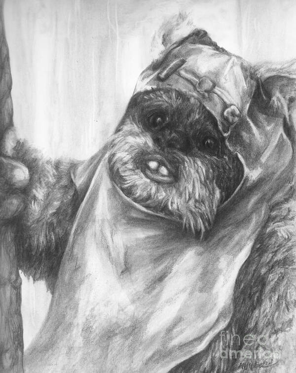 Wicket Poster featuring the drawing Curious Wicket by Meagan Visser