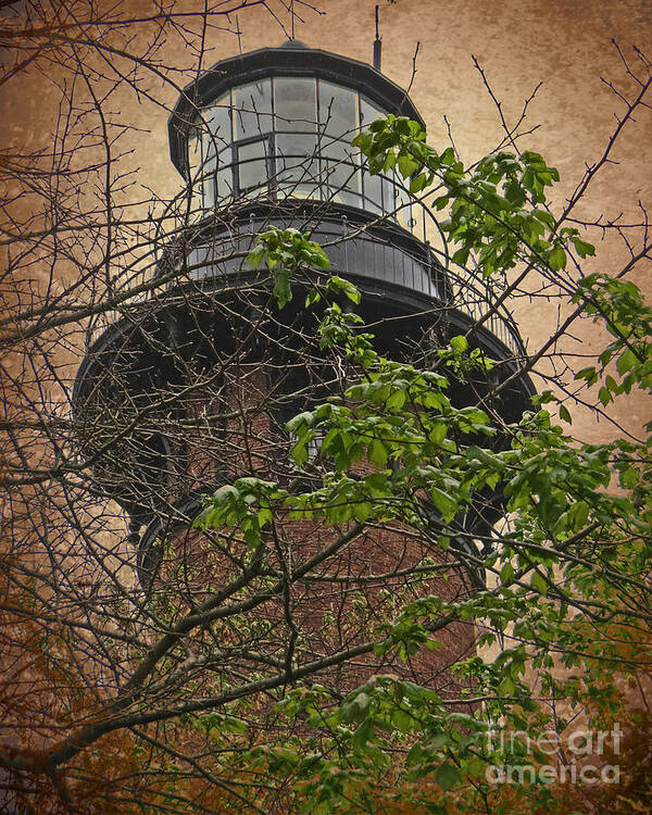 Sky Poster featuring the photograph Currituck Light House by Dawn Gari