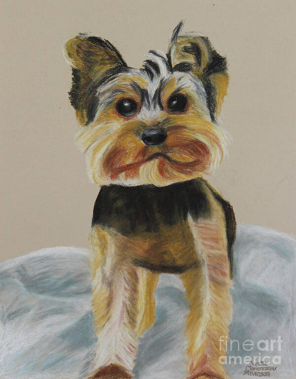 Animal Mugs Collection Poster featuring the painting Cute Yorkie by Annette M Stevenson