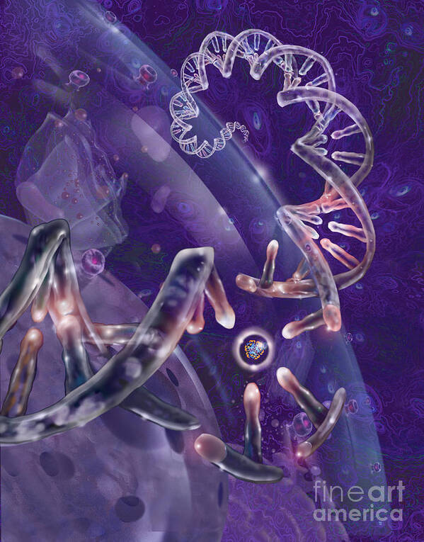 Dna Poster featuring the photograph Dna With Protein by Jim Dowdalls