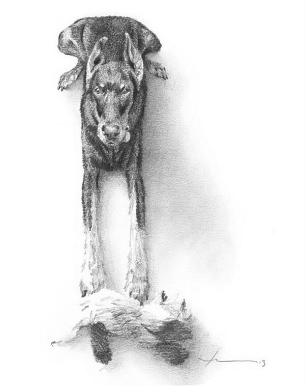 <a Href=http://miketheuer.com Target =_blank>www.miketheuer.com</a> Doberman Puppy Pencil Portrait Poster featuring the drawing Doberman Puppy Pencil Portrait by Mike Theuer