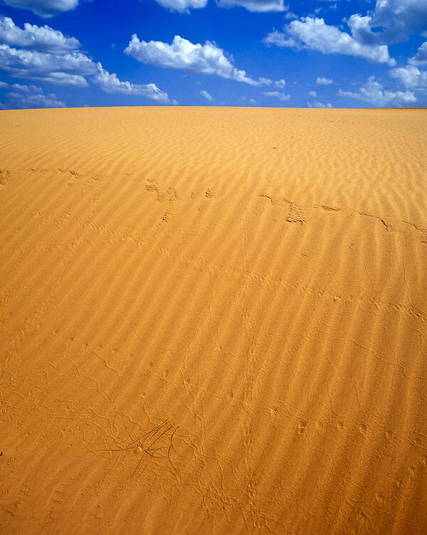 Clear Sky Poster featuring the photograph Dunes by Richard Smith