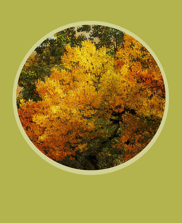 Fall Foliage Poster featuring the photograph Fall Foliage by Ann Powell
