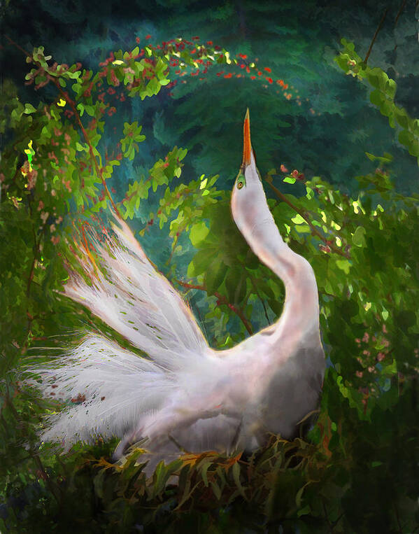 Egret Poster featuring the photograph Flamboyant Egret by Melinda Hughes-Berland