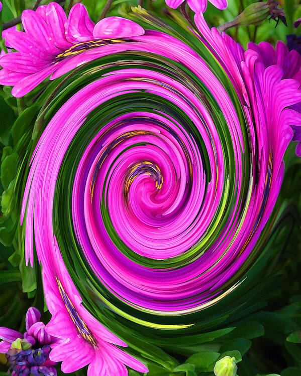 Flower Poster featuring the photograph Floral Swirl 2 by Margaret Saheed