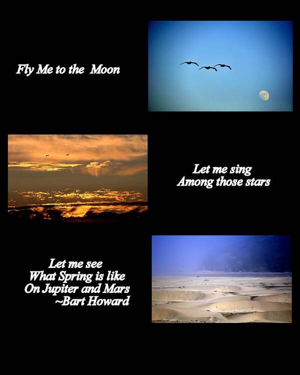 Poster Poster featuring the photograph Fly Me to the Moon by AJ Schibig