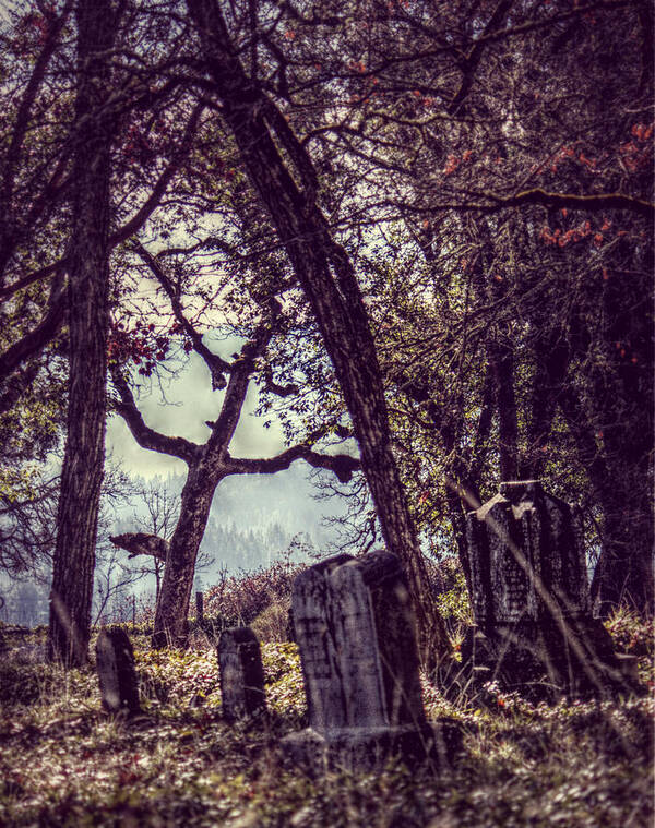 Cemetery Poster featuring the photograph Foggy Memories by Melanie Lankford Photography