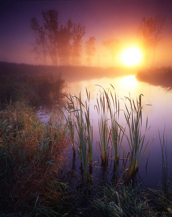 Creek Poster featuring the photograph Foggy Sunrise by Ray Mathis