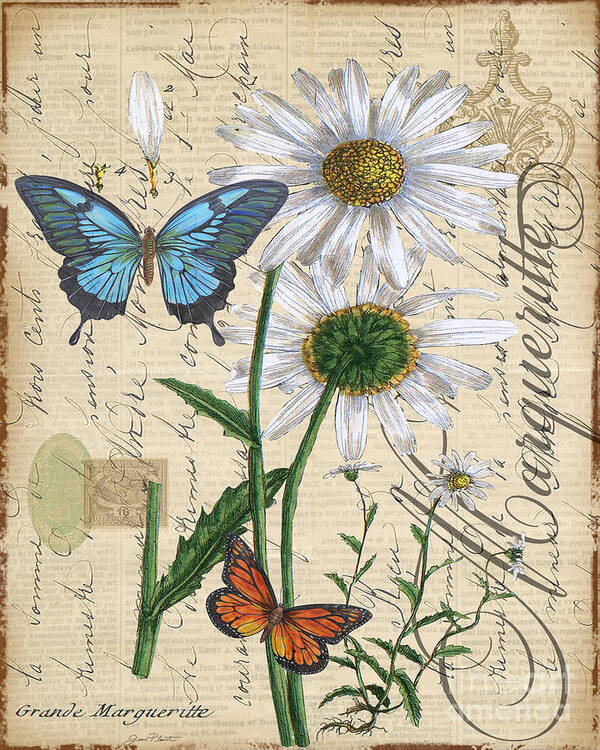 Flower Poster featuring the mixed media French Botanical-Marqueritte by Jean Plout