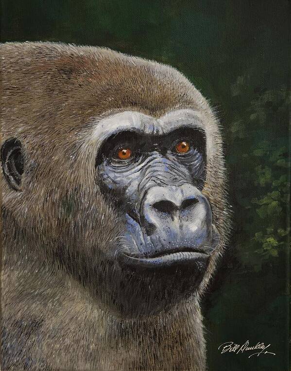 Gorilla Poster featuring the painting Gorilla Portrait by Bill Dunkley