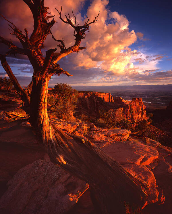 Colorado National Monument Poster featuring the photograph Grand View Point Sunrise by Ray Mathis