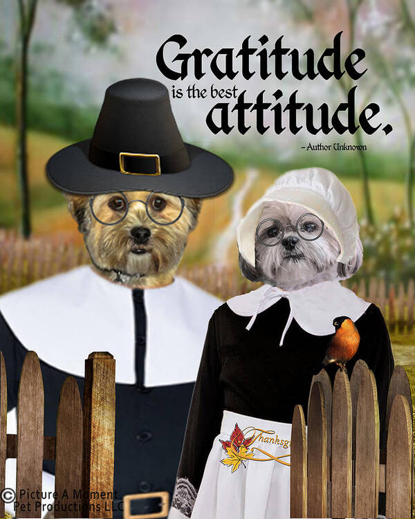 Canine Thanksgiving Poster featuring the digital art Gratitude is the best Attitude-1 by Kathy Tarochione