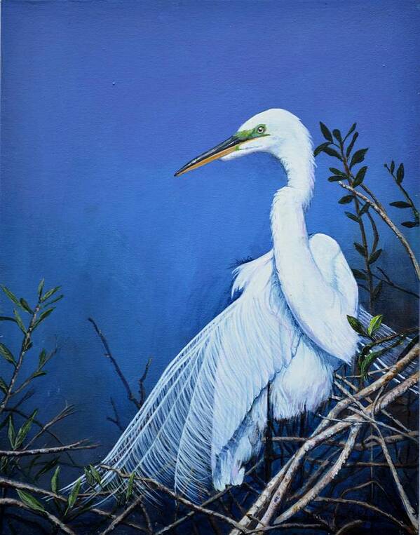 Heron Poster featuring the painting Great White Heron by Mary Ann Blosser