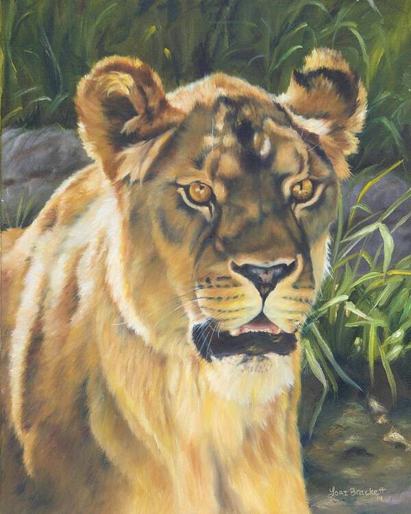 Lion Poster featuring the painting Her - Lioness by Lori Brackett