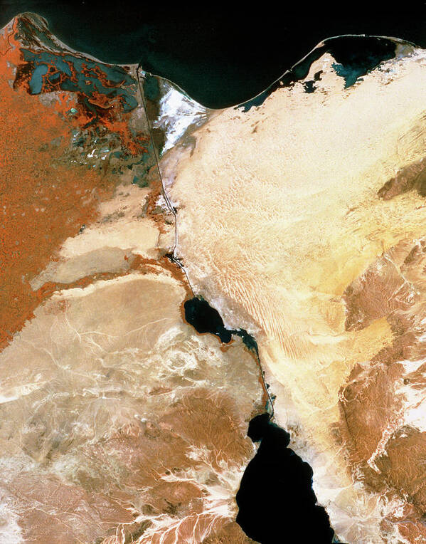 Suez Canal Poster featuring the photograph Infrared Satellite Image Of Suez Canal & Nile Dlta by Mda Information Systems/science Photo Library
