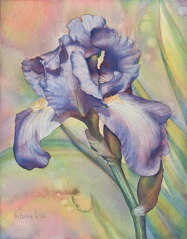 Iris Poster featuring the painting Iris Dreaming by Victoria Lisi