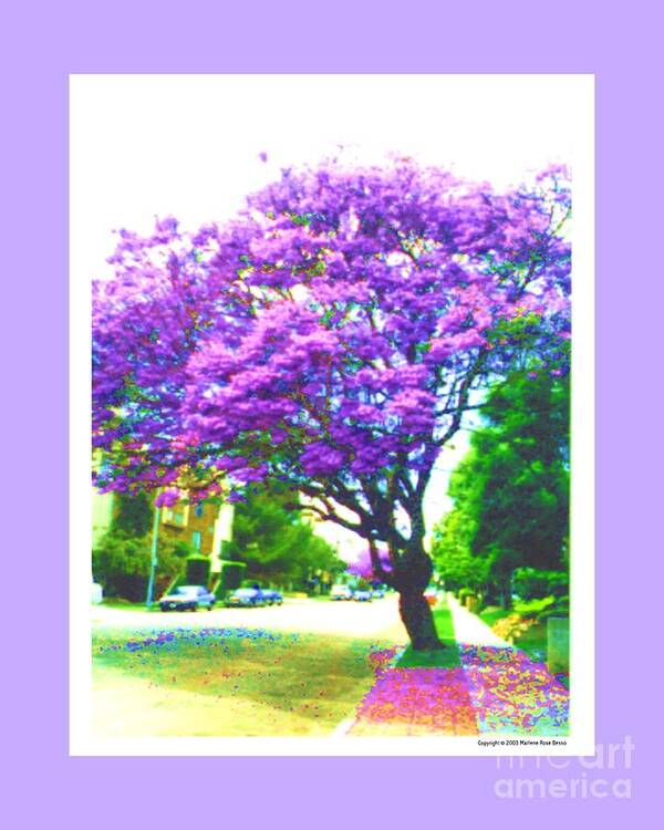 Jacaranda Tree Poster featuring the digital art Jacaranda Tree by Marlene Besso