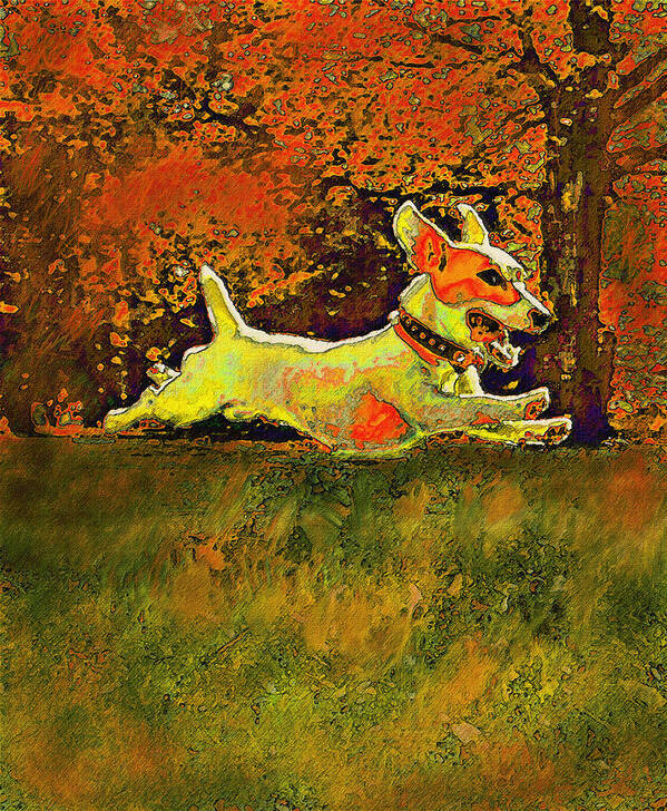 Jane Schnetlage Poster featuring the digital art Jack Russell In Autumn by Jane Schnetlage