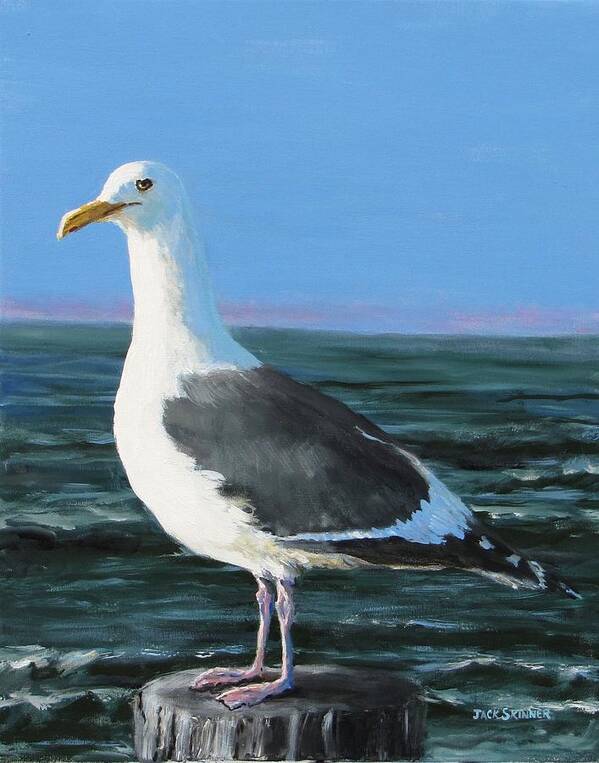Seagull. Gull Poster featuring the painting Jeff The Seagull by Jack Skinner