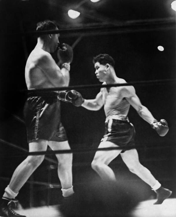 History Poster featuring the photograph Joe Louis Right In Boxing Match by Everett