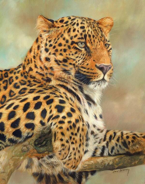 Leopard Poster featuring the painting Leopard by David Stribbling