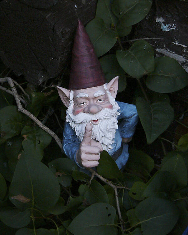 Garden Gnome Poster featuring the photograph Listen Up by Rhonda McDougall