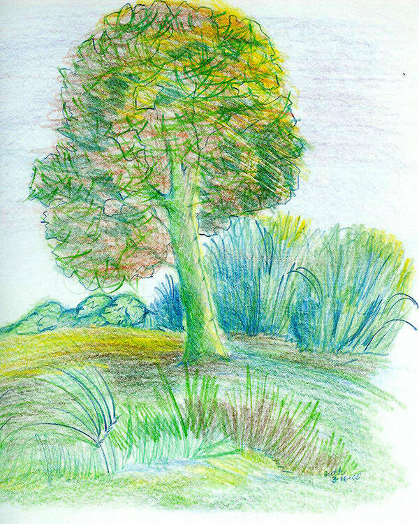 Colored Pencil Poster featuring the mixed media Lone Tree by Ruth Dailey