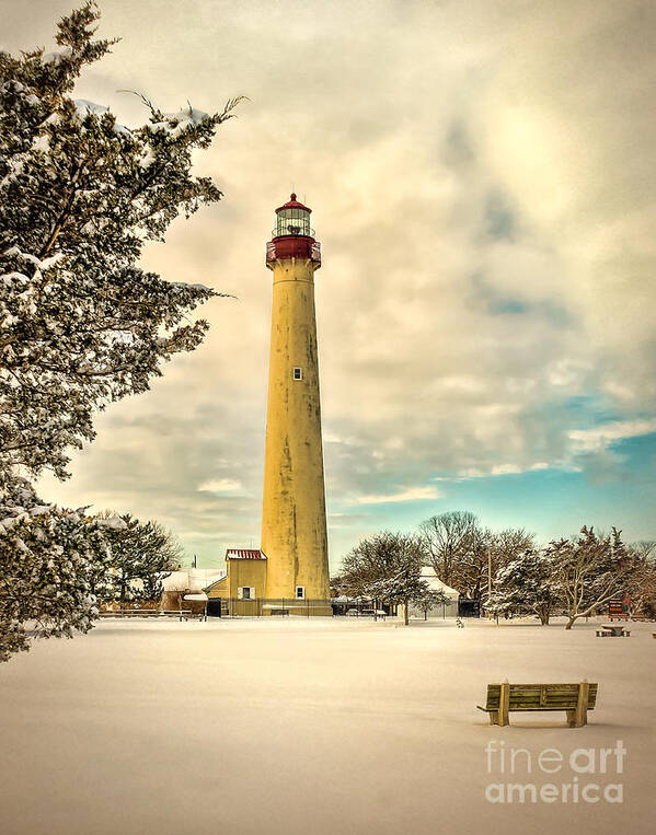 Cape Poster featuring the photograph Lonely Bench at Cape May Light by Nick Zelinsky Jr